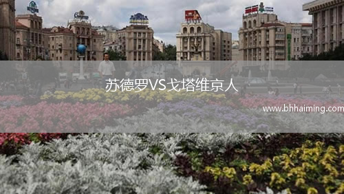 蘇德羅VS戈塔維京人