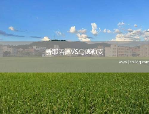 諾爾雪平女足VS洛森格德女足