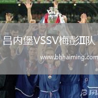 呂內(nèi)堡VSSV梅彭II隊(duì)