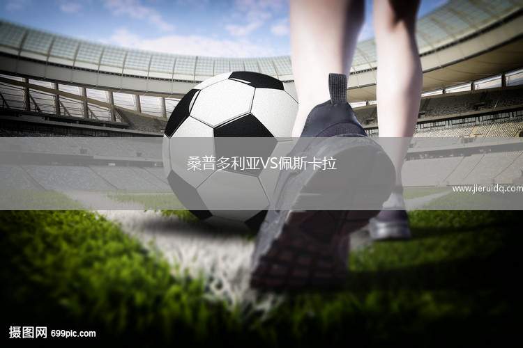 海法FCVS貝魯扎達(dá)