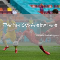 亞布洛內(nèi)茨VS布拉格杜克拉