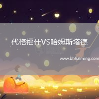 代格福什VS哈姆斯塔德