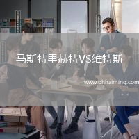 馬斯特里赫特VS維特斯