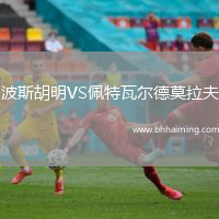 波斯胡明VS佩特瓦爾德莫拉夫