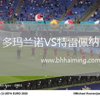 多瑪蘭諾VS特雷佩納