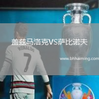 蓋茲馬洛克VS薩比諾夫