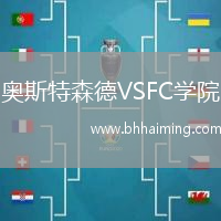 奧斯特森德VSFC學(xué)院