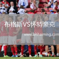 布格斯VS懷特豪克