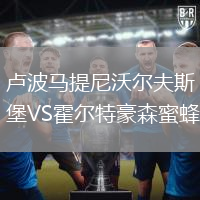 盧波馬提尼沃爾夫斯堡VS霍爾特豪森蜜蜂