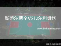 斯蒂爾賈辛VS包爾科維切