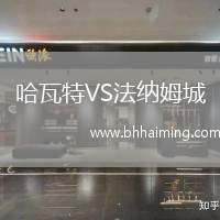 哈瓦特VS法納姆城