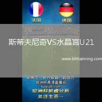 斯蒂夫尼奇VS水晶宮U21