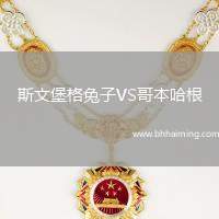 斯文堡格兔子VS哥本哈根