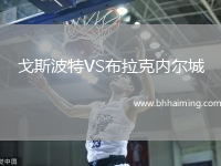 戈斯波特VS布拉克內(nèi)爾城