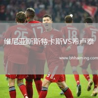 維尼亞斯斯特卡斯VS希盧泰