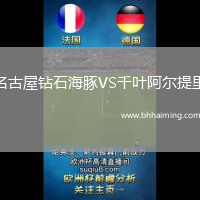 名古屋鉆石海豚VS千葉阿爾提里