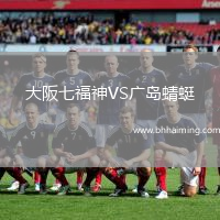 大阪七福神VS廣島蜻蜓