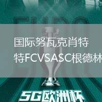 國際努瓦克肖特FCVSASC根德林
