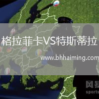 格拉菲卡VS特斯蒂拉