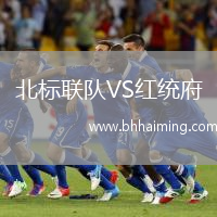 北標聯(lián)隊VS紅統(tǒng)府