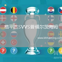 格平杰SVVS普福爾茨海姆