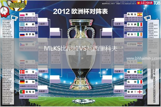 MLKS比尼拉VS瓦西里科夫