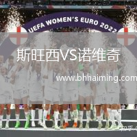 斯旺西VS諾維奇