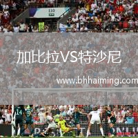 加比拉VS特沙尼