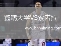 鸚鵡大學(xué)VS索諾拉