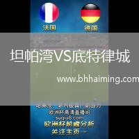 坦帕灣VS底特律城