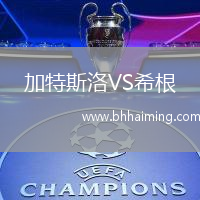 加特斯洛VS希根