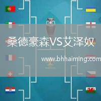 桑德豪森VS艾澤奴