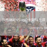 沃格瑞斯VSUSD卡斯特蘭澤