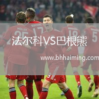 法爾科VS巴根熊