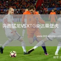 奔跑猛龍VSXTG安達曼壁虎