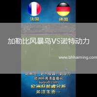 加勒比風(fēng)暴島VS諾特動力