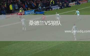 布達(dá)佩斯捍衛(wèi)者VS梅索科菲德