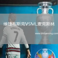維捷布斯克VSML麥克斯林