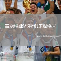 雷索維亞VS斯凱爾涅維采