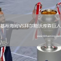 基希海姆VS拜爾勒沃庫(kù)森巨人