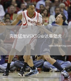 奔跑猛龍VSXTG安達曼壁虎