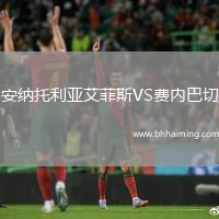 安納托利亞艾菲斯VS費(fèi)內(nèi)巴切