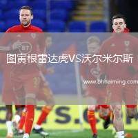 圖寅根雷達虎VS沃爾米爾斯