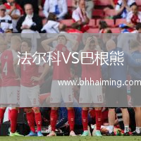 法爾科VS巴根熊