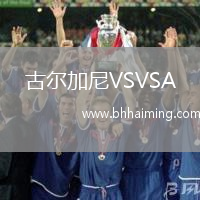 古爾加尼VSVSA