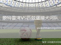 蒙特雷灣VS匹茲堡獵犬河隊(duì)