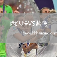 西沃聯(lián)VS藍(lán)鷹