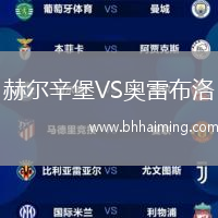 赫爾辛堡VS奧雷布洛