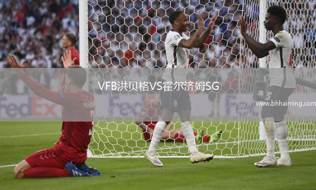 VFB洪貝格VS霍爾濟(jì)姆SG