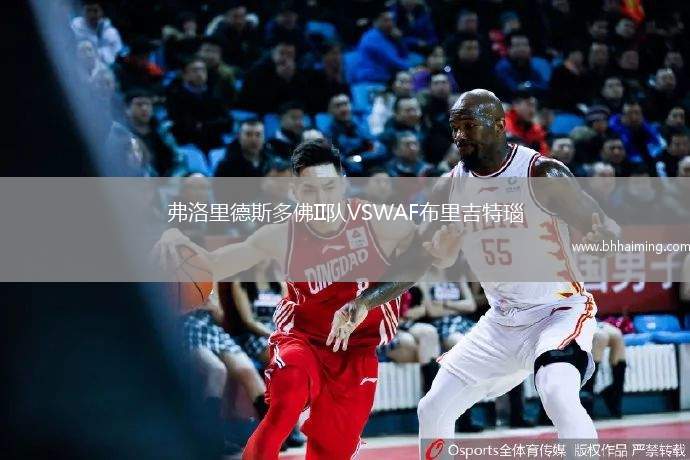 弗洛里德斯多佛II隊(duì)VSWAF布里吉特瑙